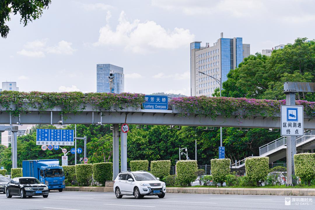 搬到新租房之后就不顺,搬到新租房子总感觉不顺利