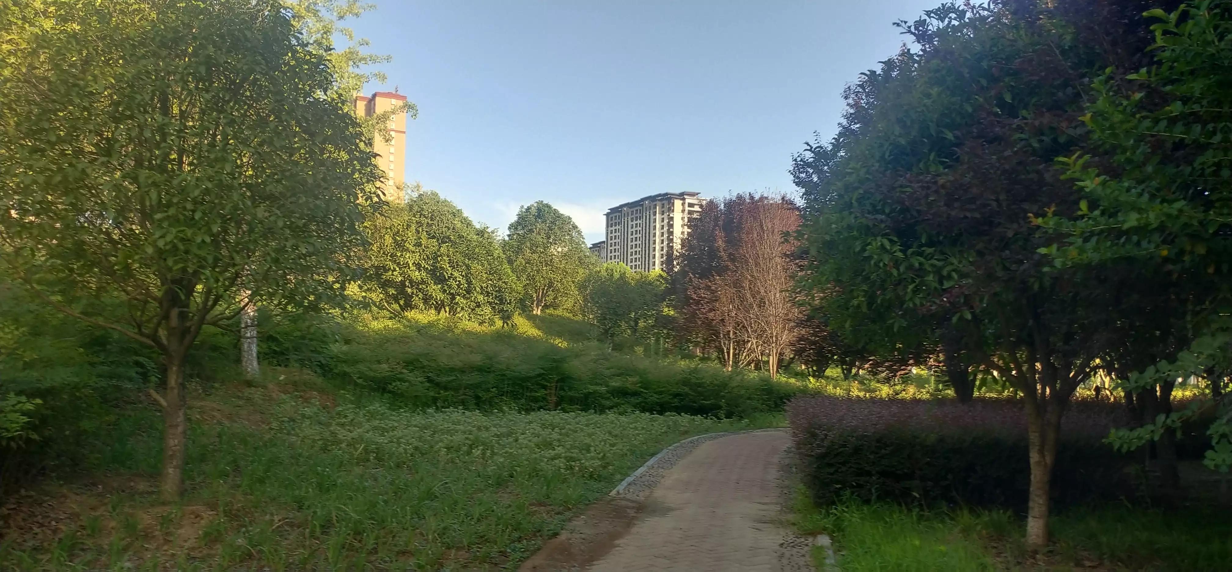 跑步无伤跑到地老天荒,跑步10年总结10条无伤跑秘籍