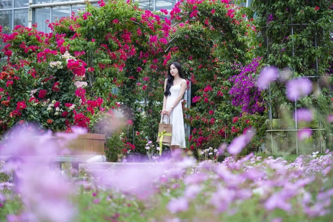 湖北毕业旅行,最适合毕业旅游的旅游景点