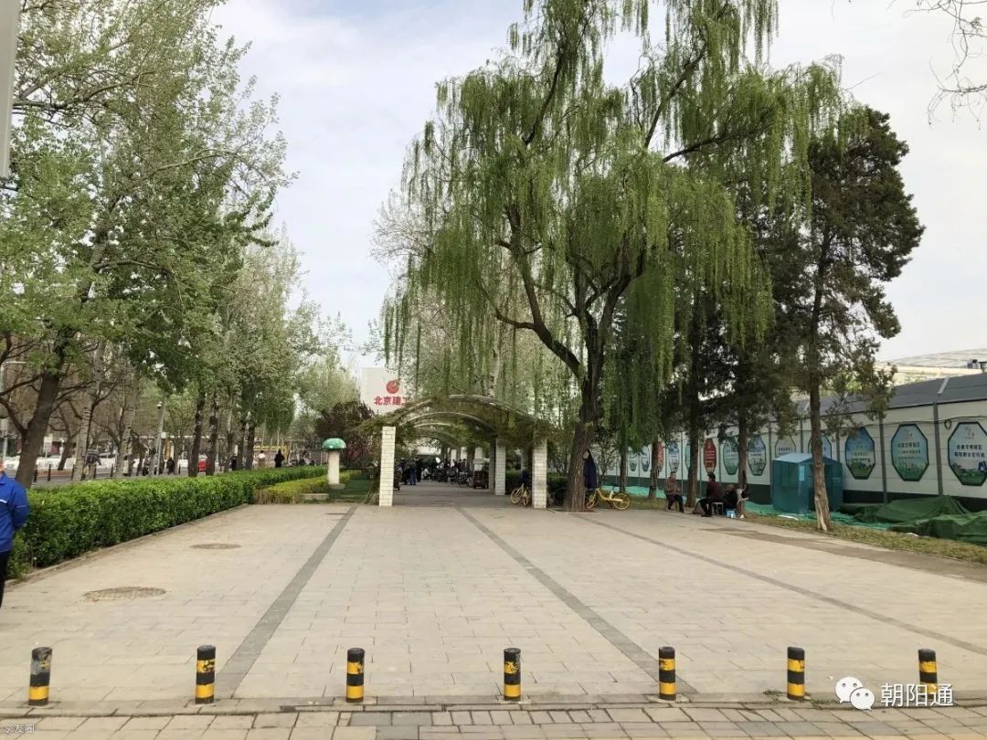 北京工体进展,工体实拍