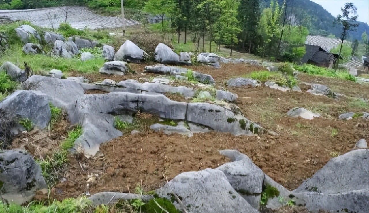 乡村改造创意工坊设计概念,极简乡村改造设计