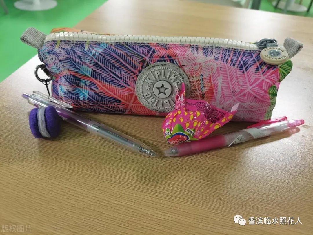 五年级第一单元我的心爱之物书,我的心爱之物小熊笔袋作文五年级