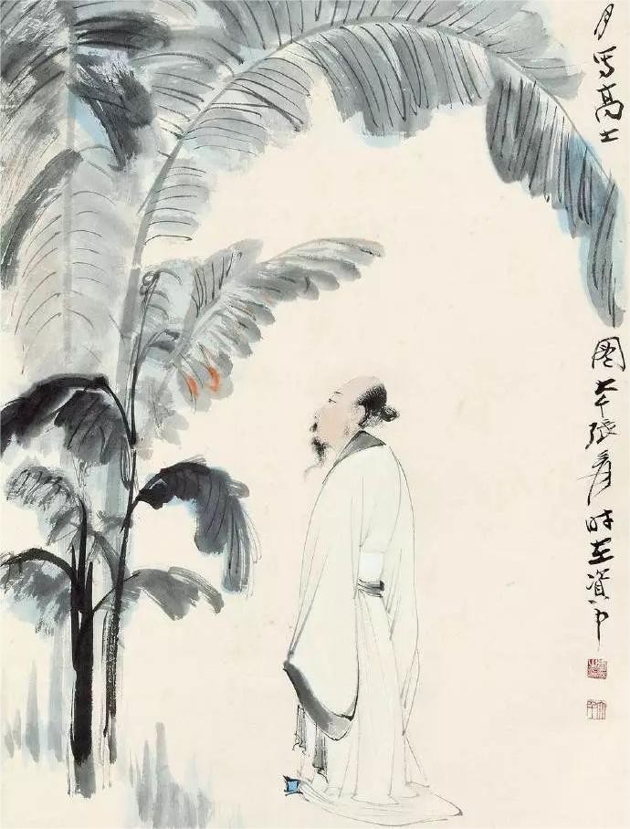 国画芭蕉和鸟的寓意,国画芭蕉象征什么寓意