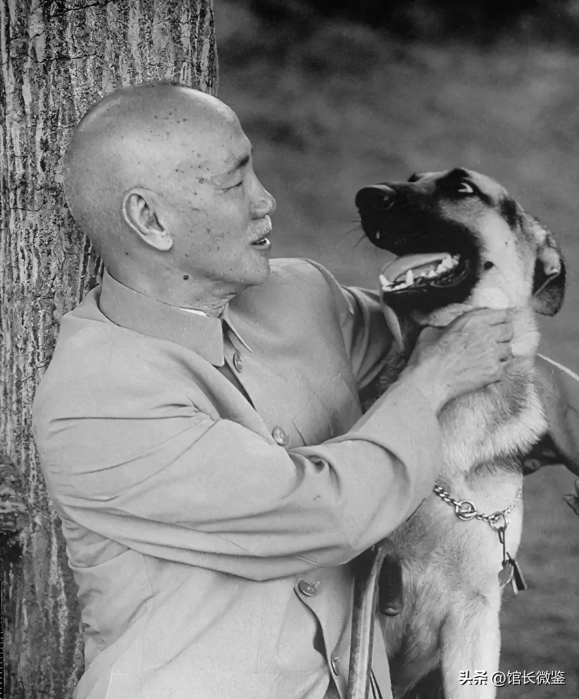 1949年新中国成立前夕，毛主席力荐宋庆龄任国家主席，这是为何？