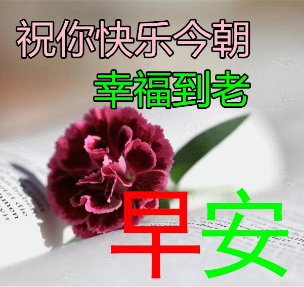 关于国家公祭日的励志短句,公祭日适合发的语录图片