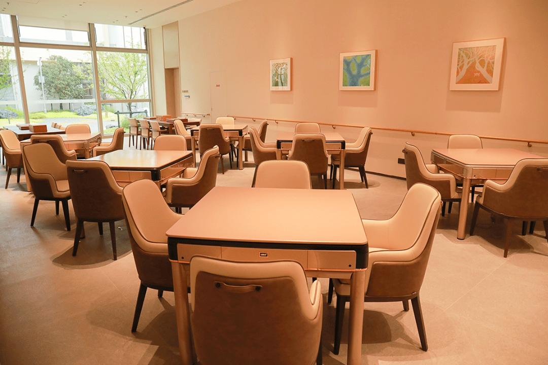 想提前退休养老,南京泰康仙林国际医养园区