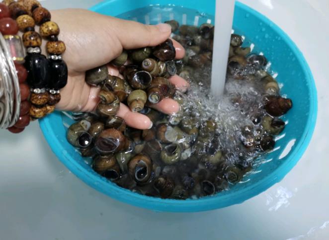 田螺焯水是冷水下锅还是热水下锅,田螺焯水是冷水下锅还是开水下锅