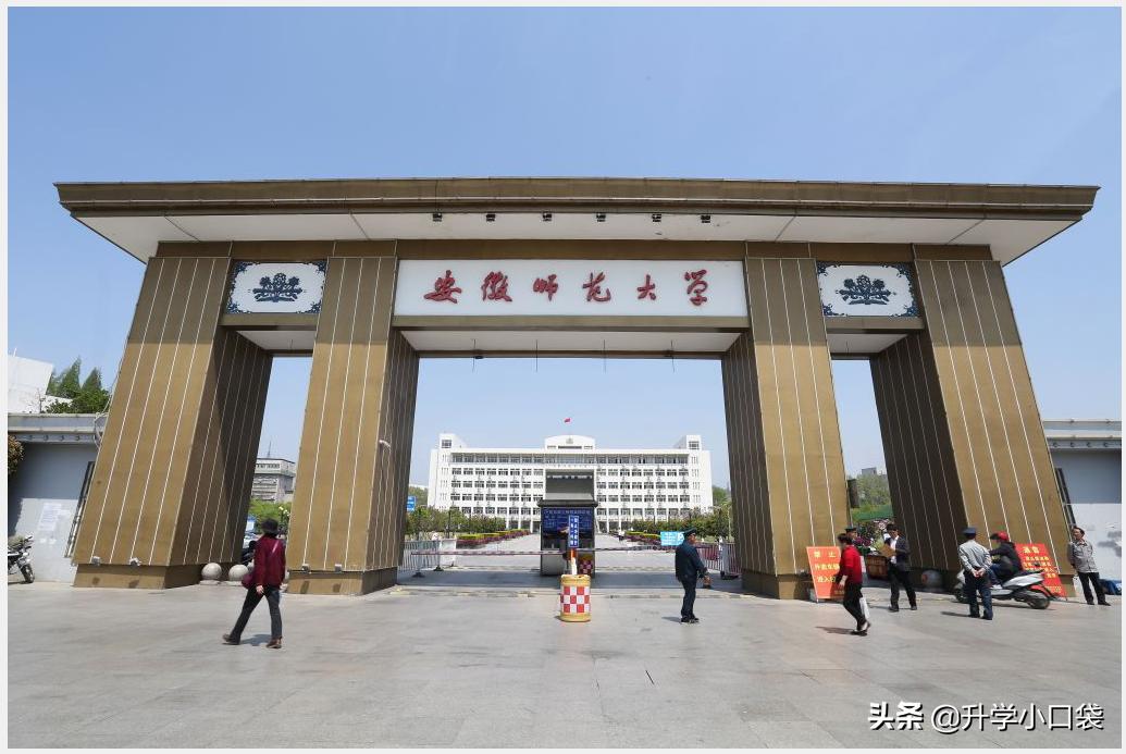 安徽师范大学师范类专业的就业率,安徽师范大学各专业竞争系数