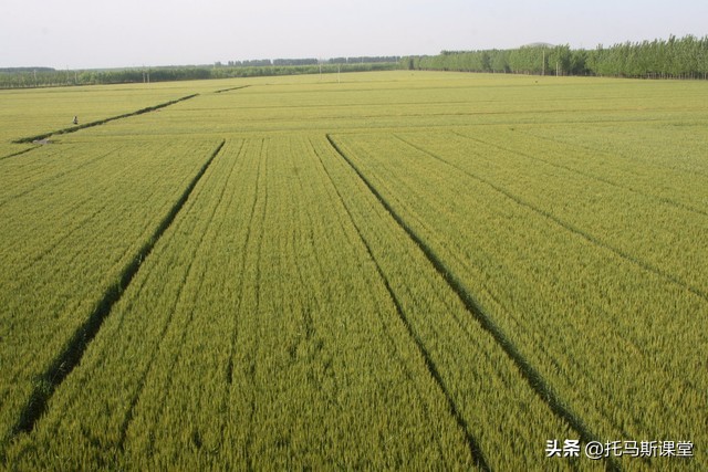 种地难农民苦怎么办,种地难种地累种地没得效益