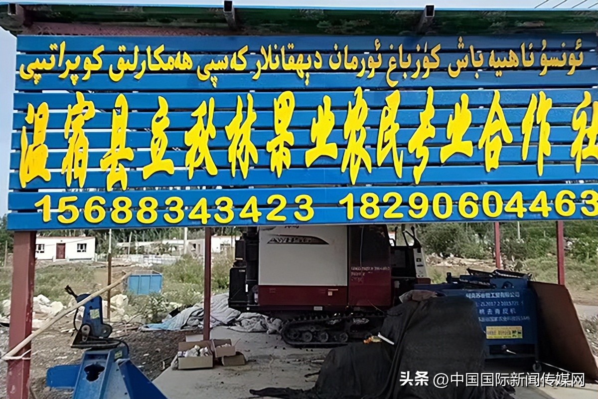 新疆回乡创业新农人,新疆返乡创业青年