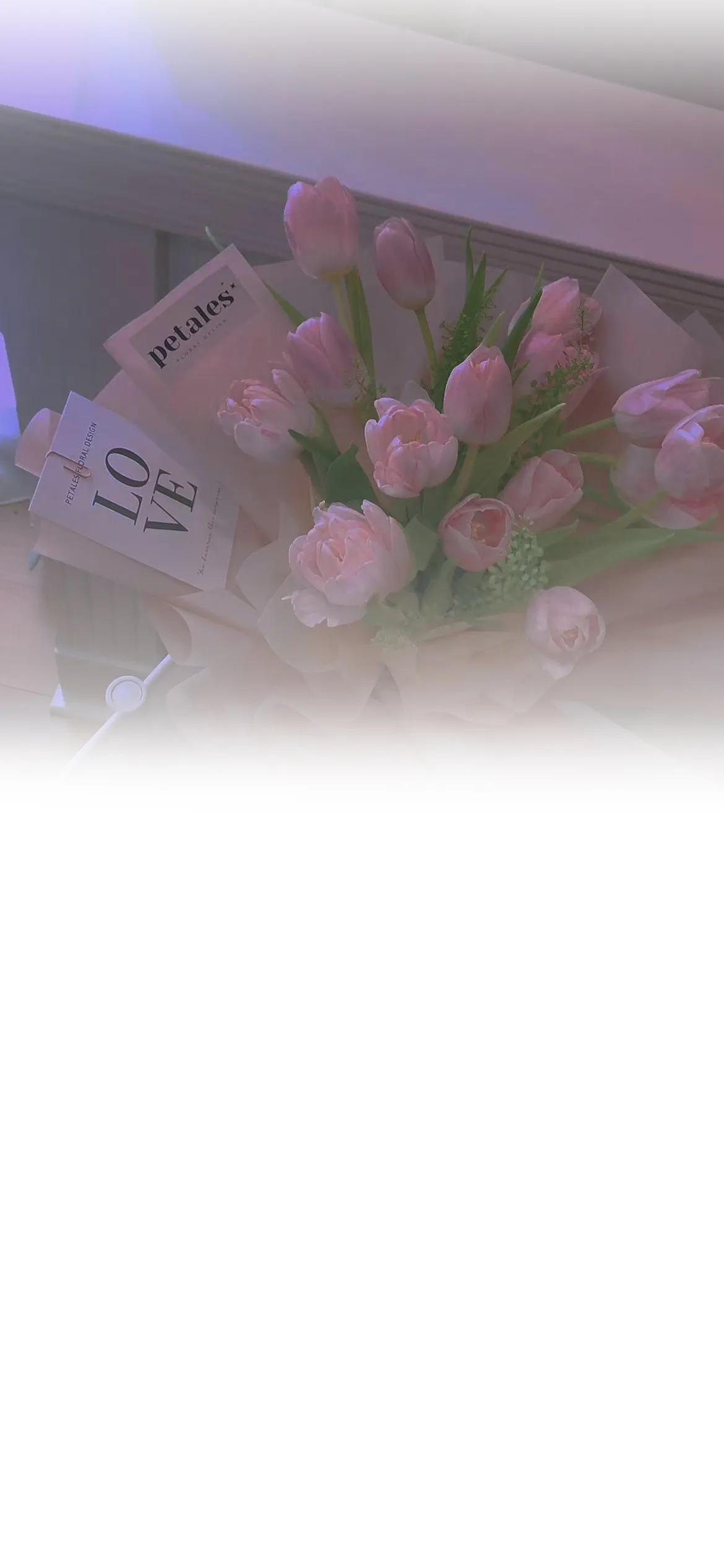 渐变聊天背景图片,纯绿色渐变聊天背景图片