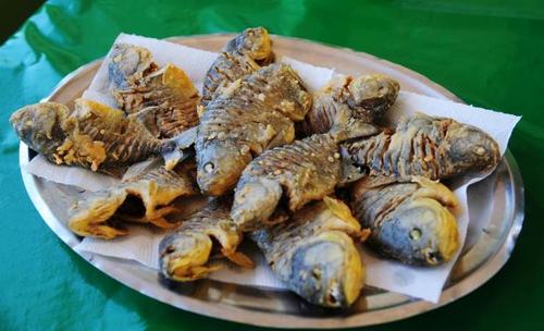 十种颜值最高的鱼,这些长相奇怪的鱼你认识几条