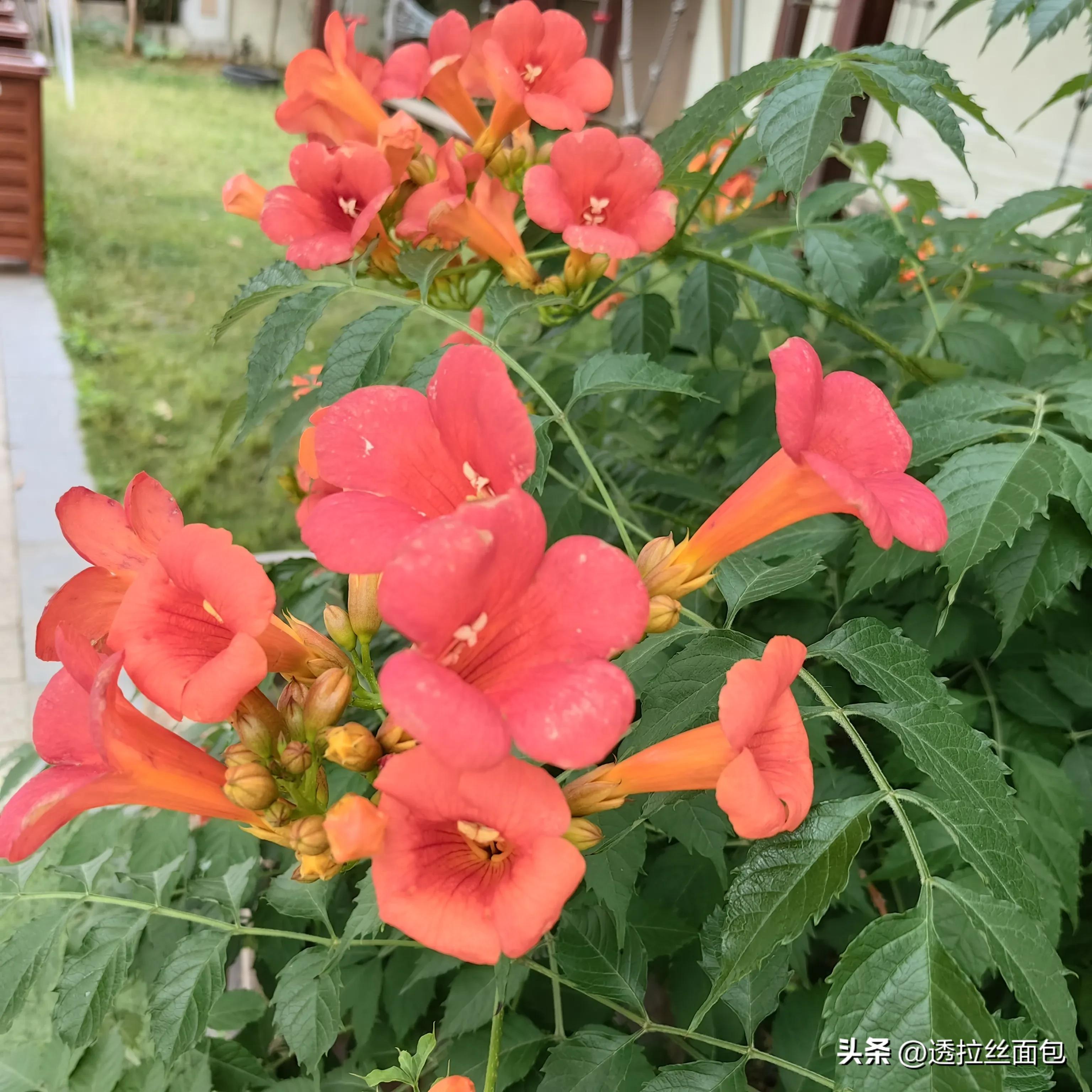 小孩手指创可贴,小孩手指贴创可贴视频