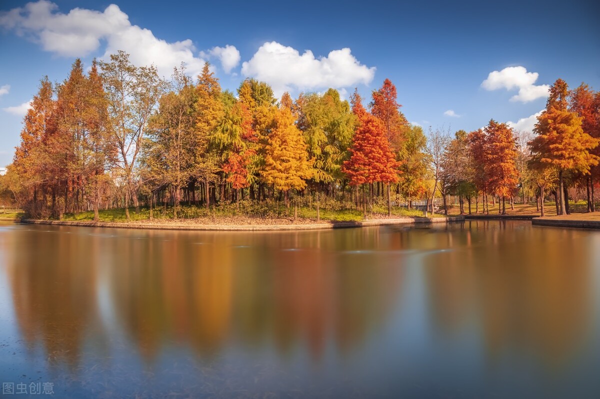 秋日上海好去处,上海秋日风景