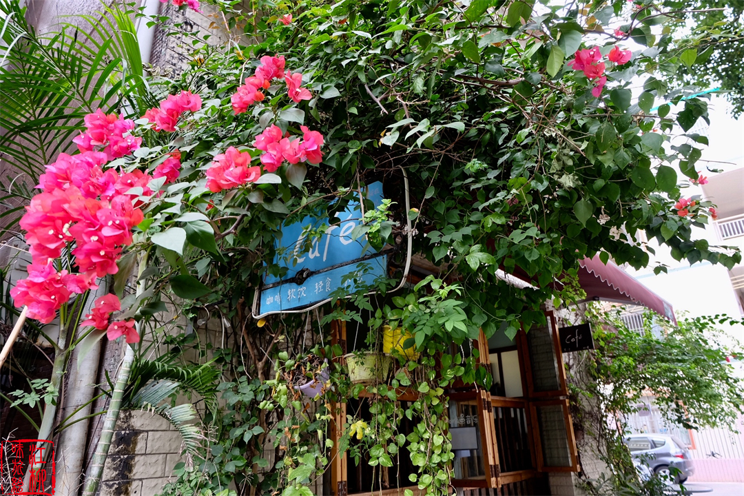 古村探寻｜广东佛山顺德一日打卡杏坛镇两个岭南水乡