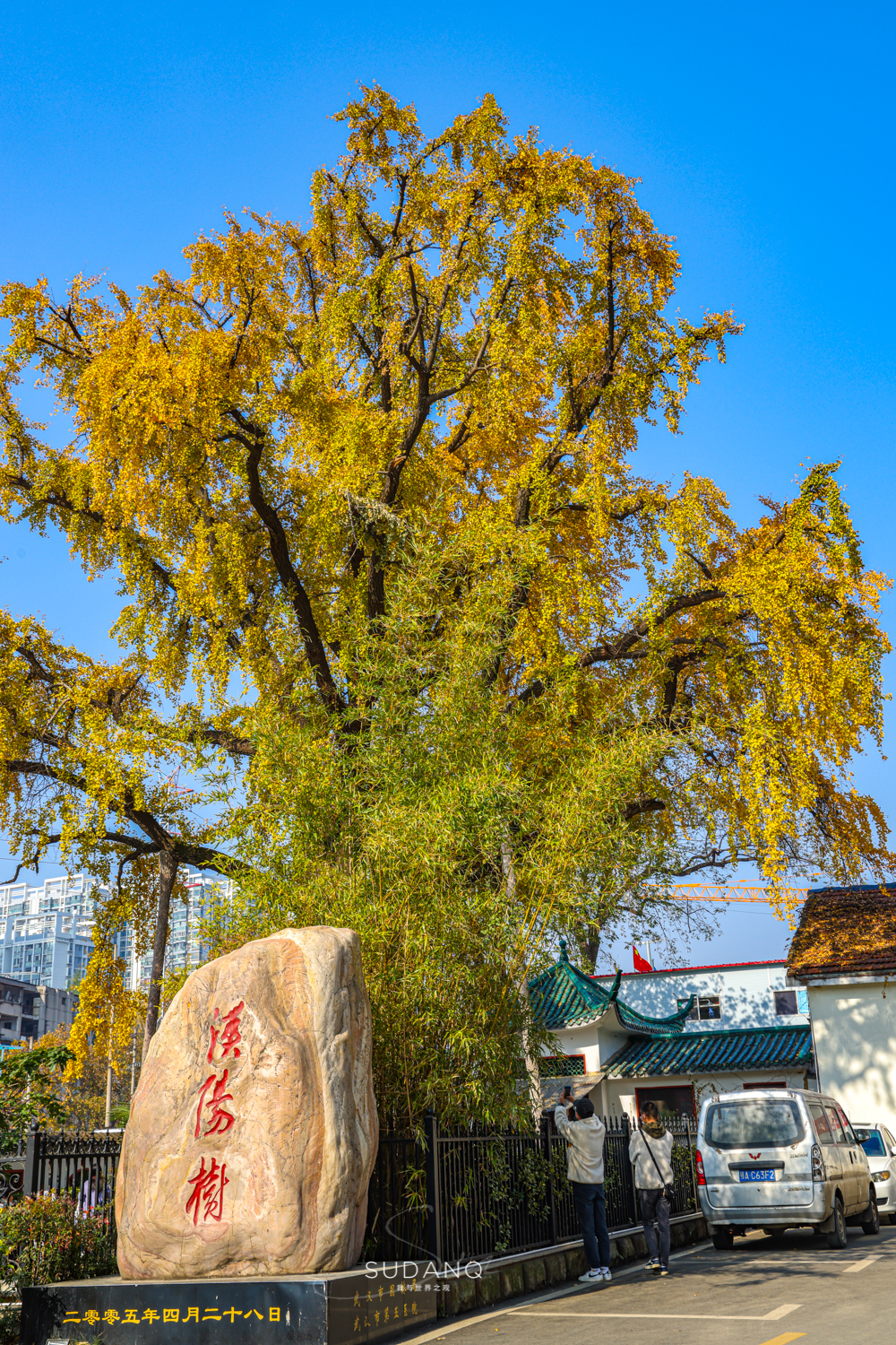 大自然塑造了我,大自然塑造者