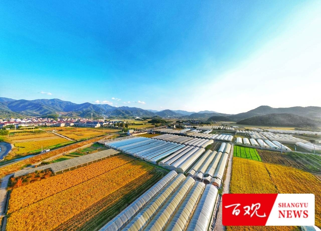 种植大户陈伟祥说：我要把“务农”这碗饭从苦吃到甜