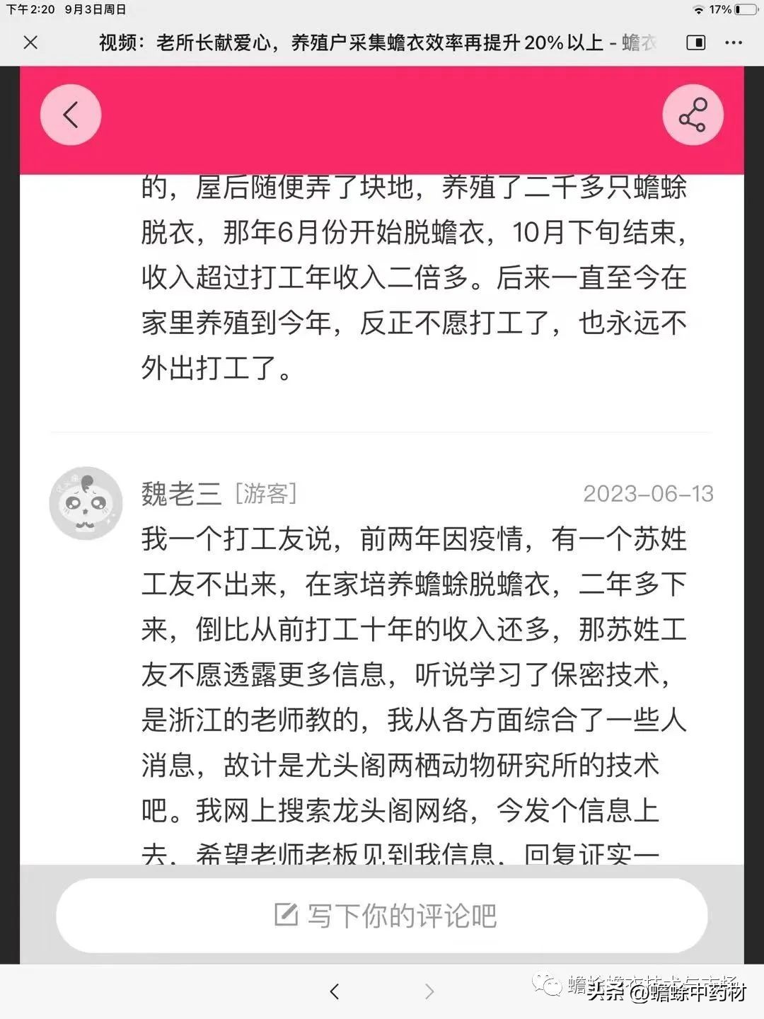 现在蟾蜍养殖前景如何,2023年蟾衣行情