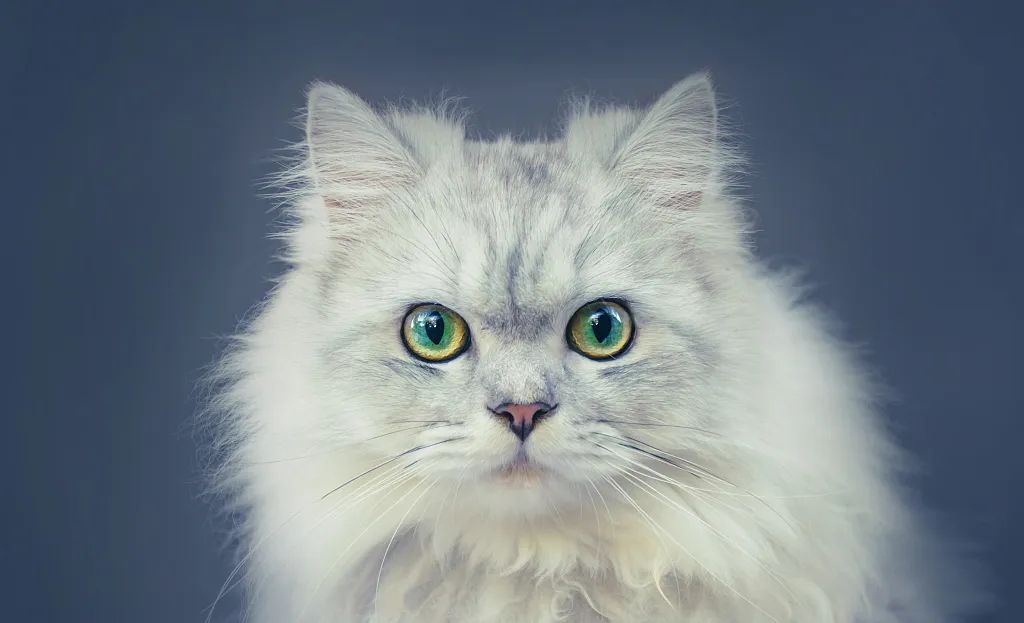 2021值得一看的小说全40章已完结,2023年完结小说top10