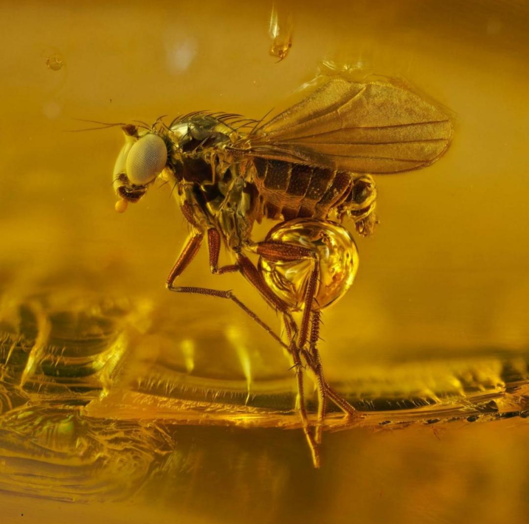 你最喜欢哪张合照,你最喜欢哪张照