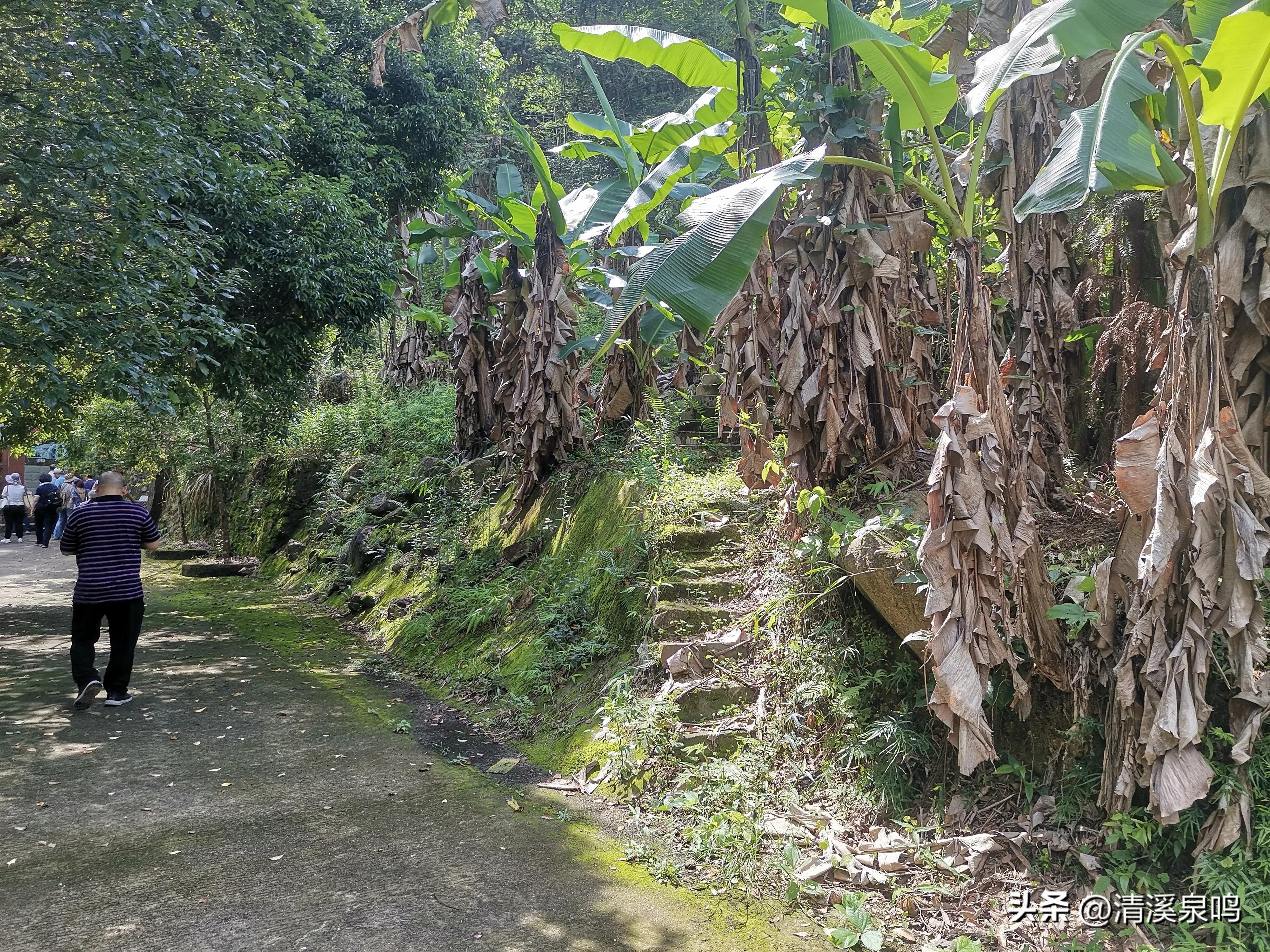 白水寨亲瀑台,白水寨瀑布最佳观景台多高