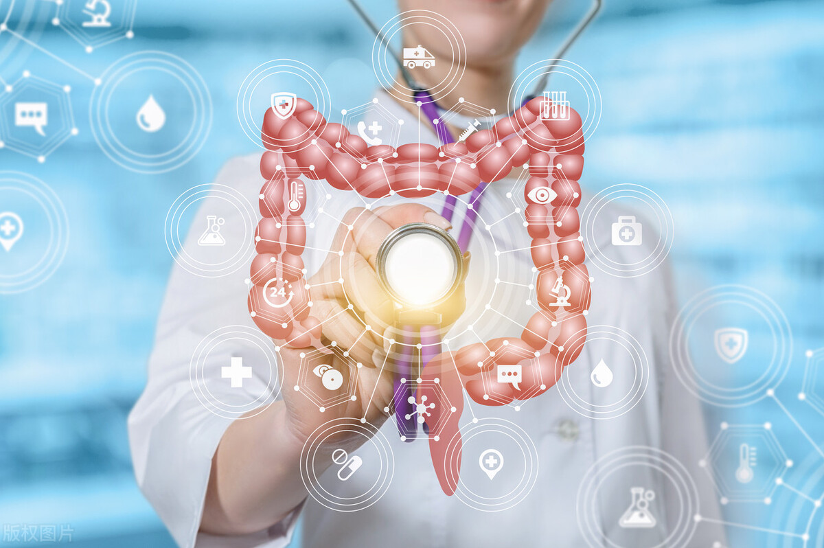 肠道健康与膳食纤维和益生菌,关注肠道益生菌平衡