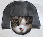 买手机不坑的真实推荐,买手机不要注意他人的评价