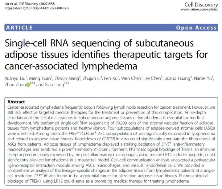 发现|继发性淋巴水肿的潜在治疗靶点及药物