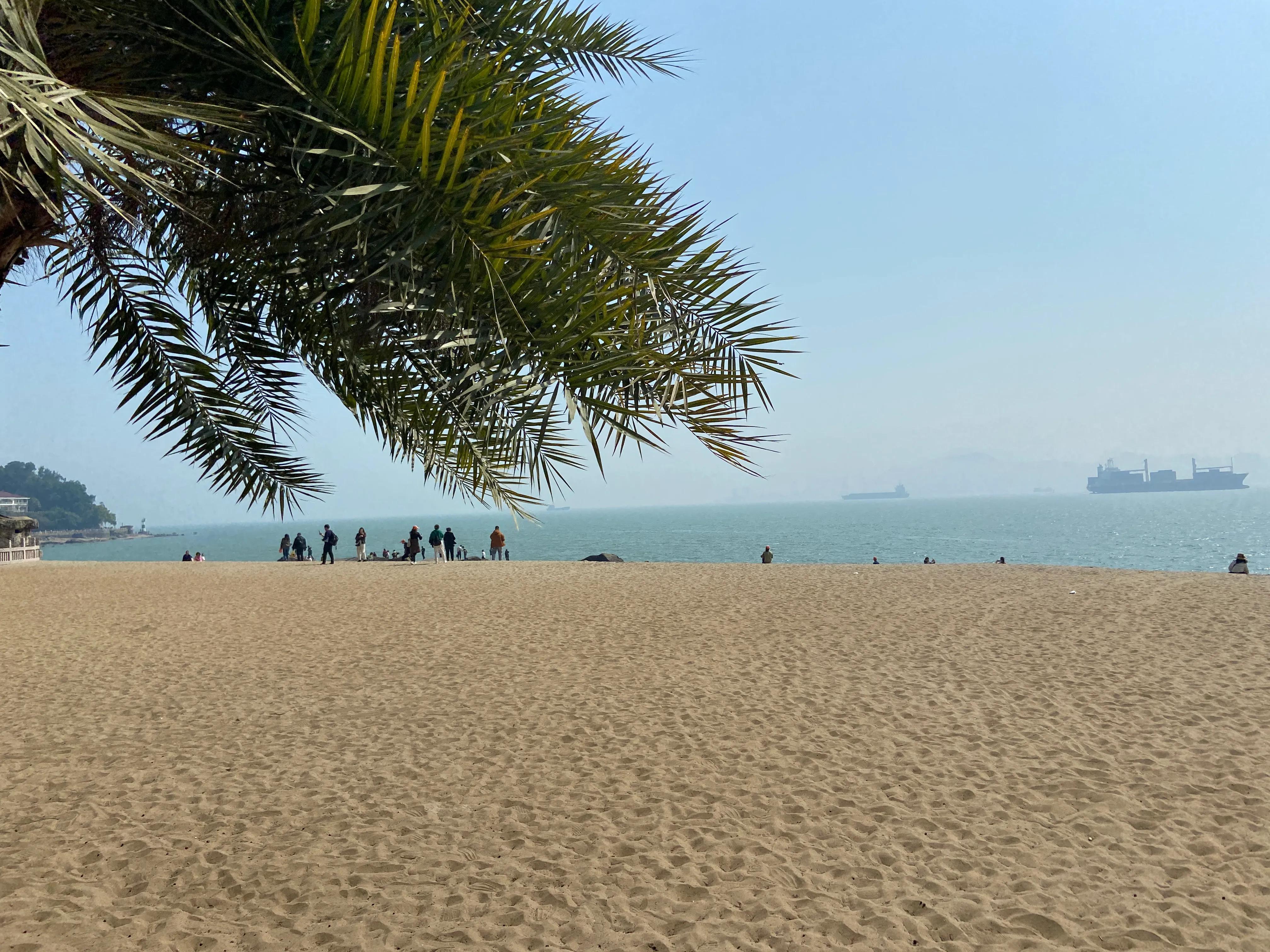 打卡厦门鼓浪屿，聊SP*级A**大四座混动凯捷