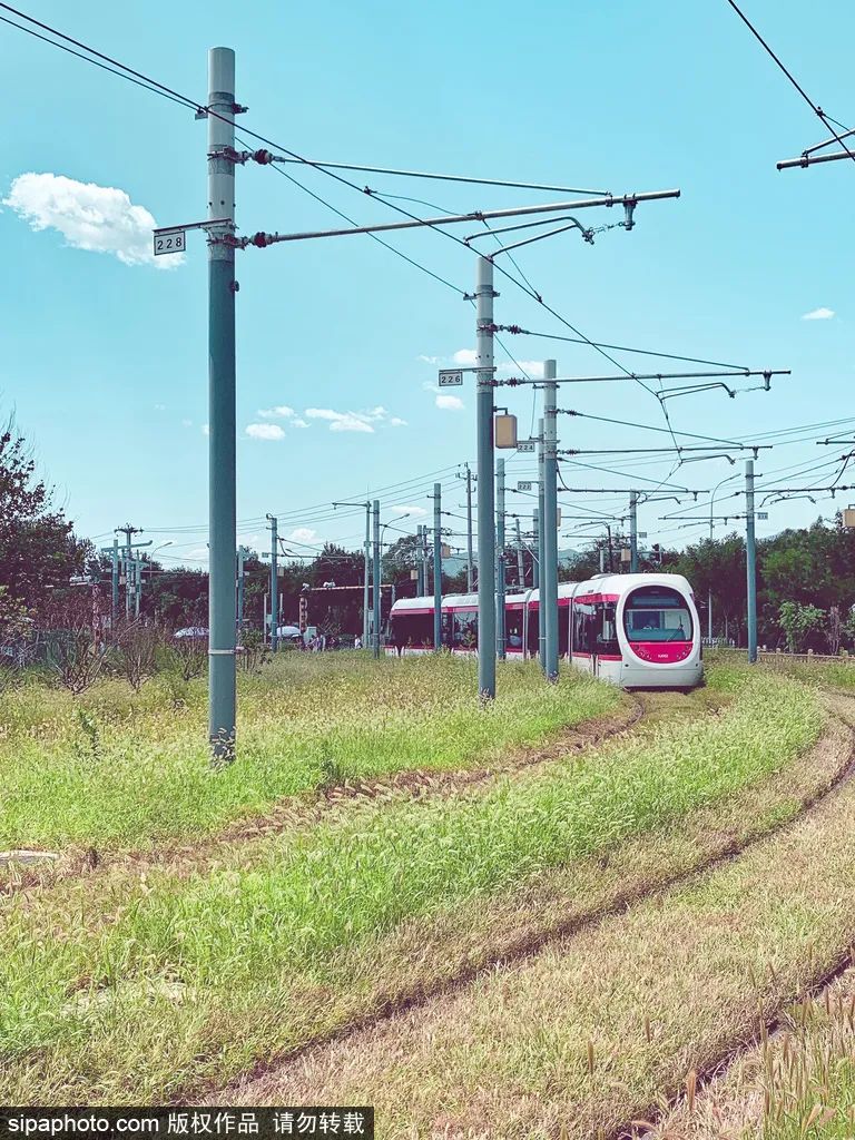 不负春光解锁春日美景打卡点,不负春光解锁春日美景攻略