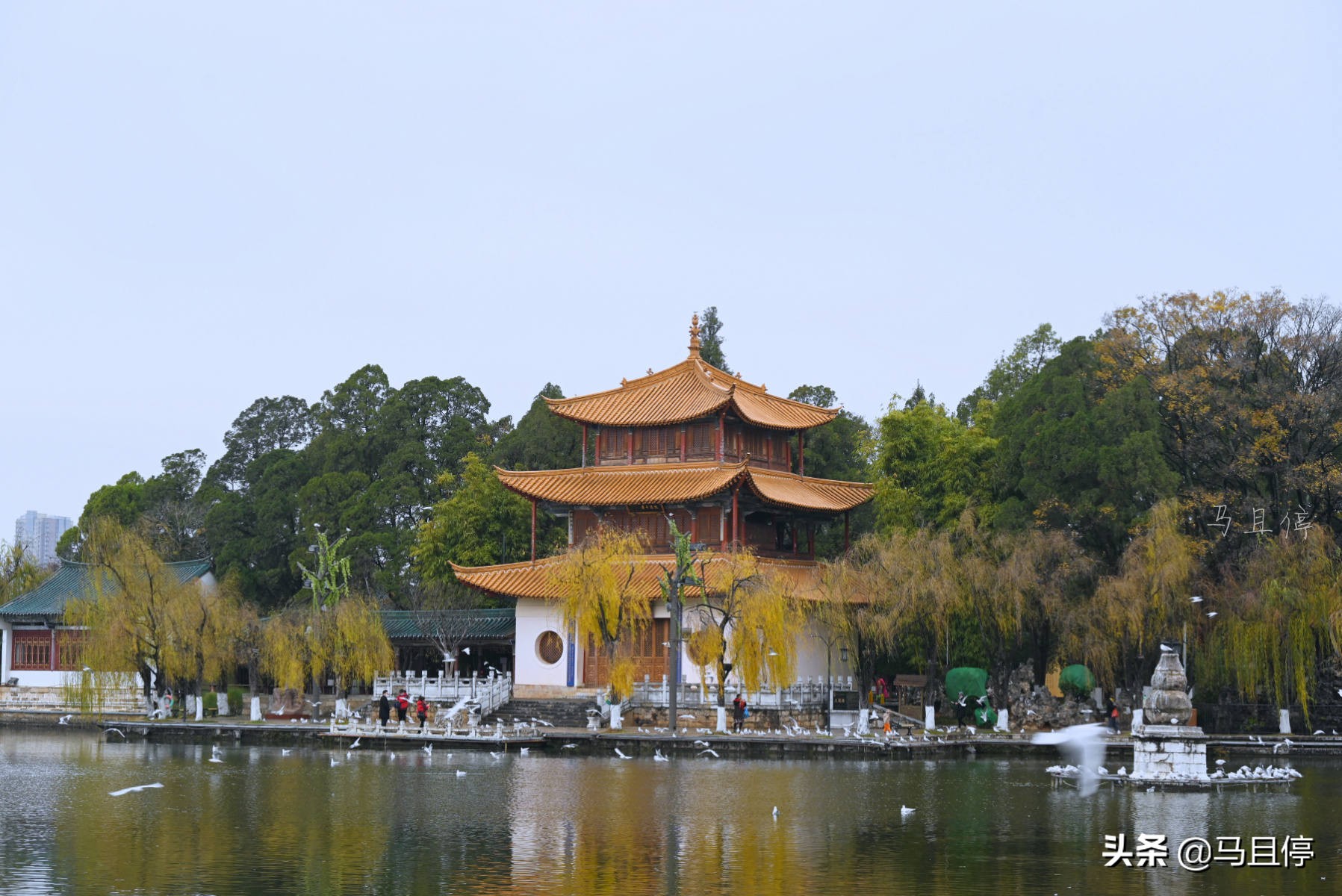 昆明滇池南岸古迹,昆明滇池哪个景点好