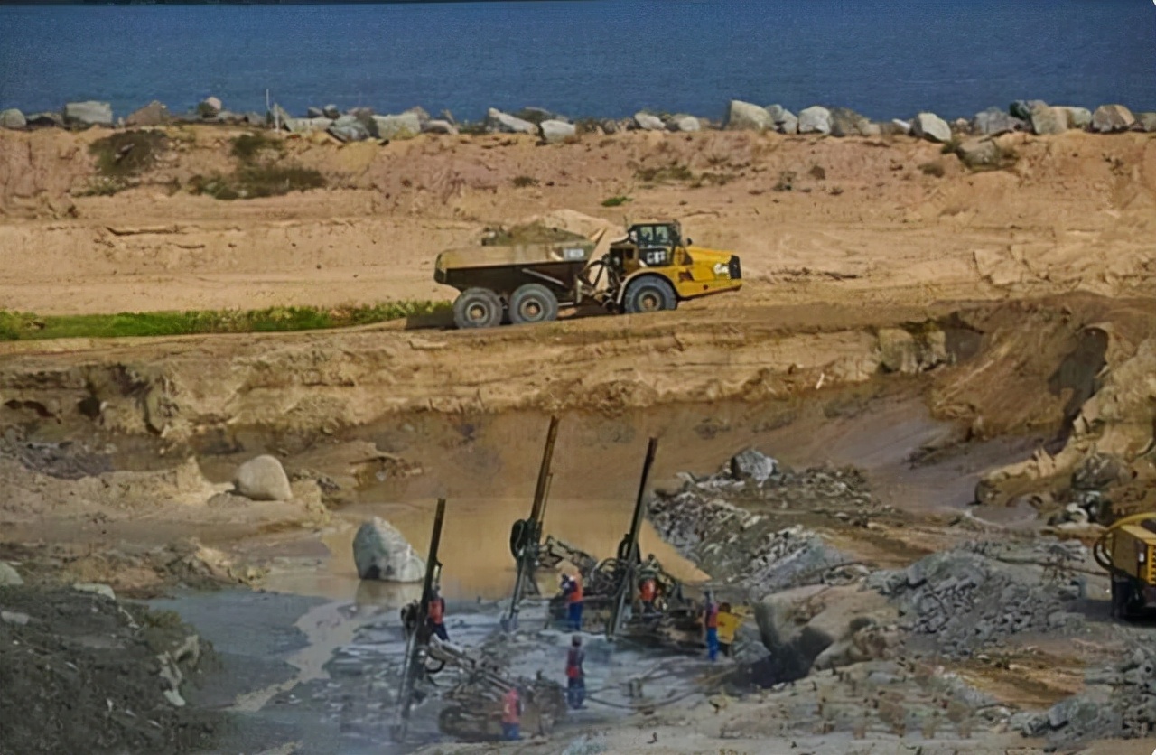 亚马逊的巨蟒有哪些,亚马逊巨蟒的资料