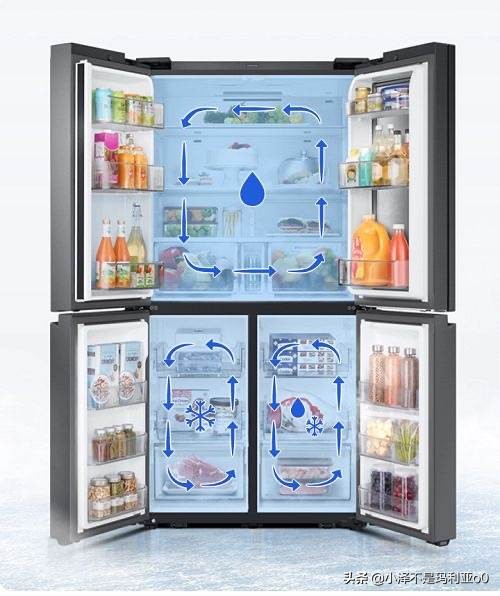 冰箱选购指南购买冰箱的最佳方法,买冰箱要怎么选购性价比最高