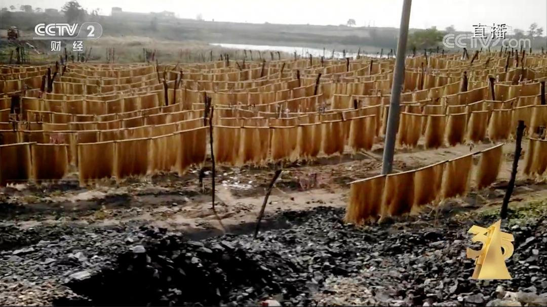 315晚会曝光了这12件事,315晚会曝光后各地反响评论