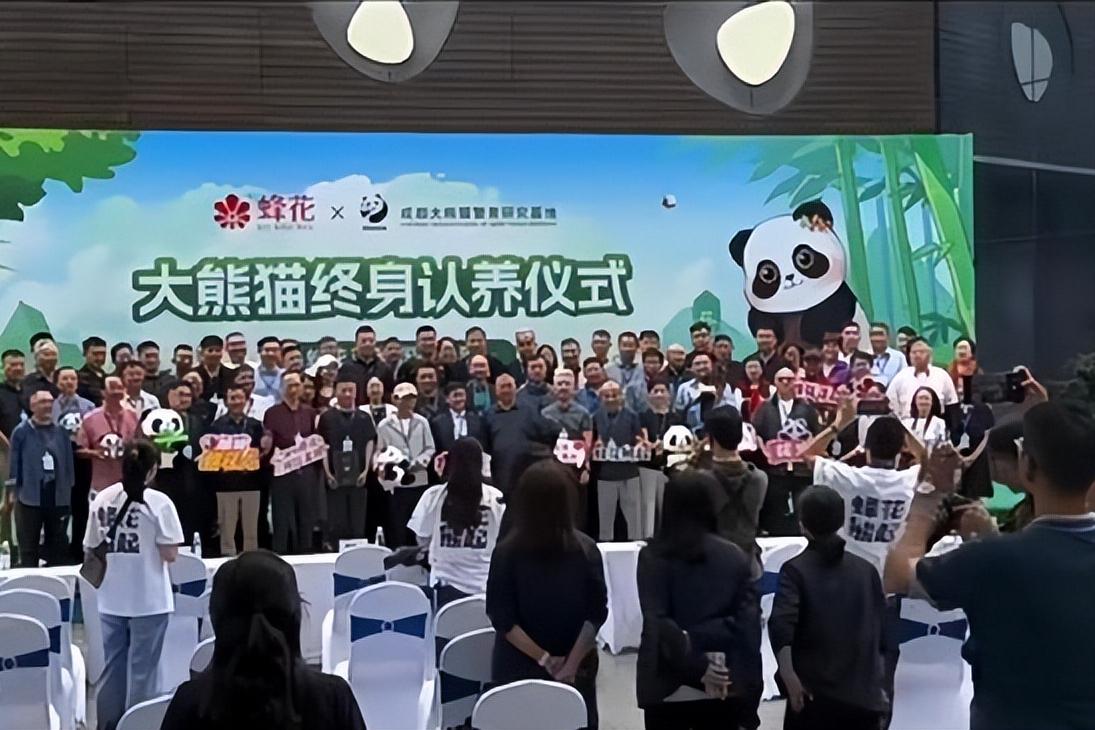 国货品牌蜂花认养大熊猫花宝,蜂花代言人熊猫