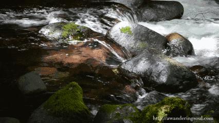 广东肇庆羚羊峡攻略,肇庆羚羊峡游记