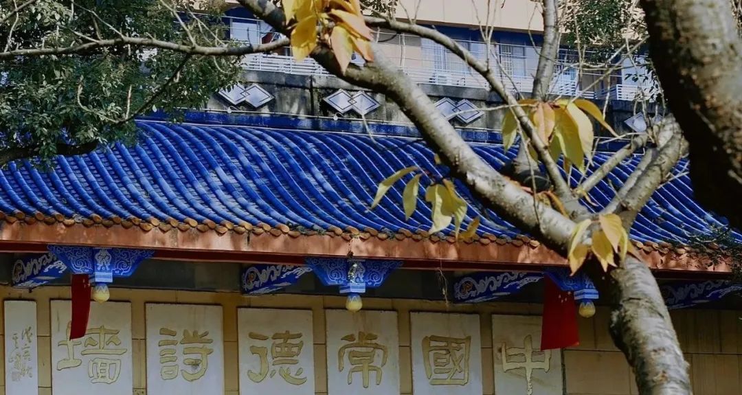 阳后第三天,阳后第3天转阴