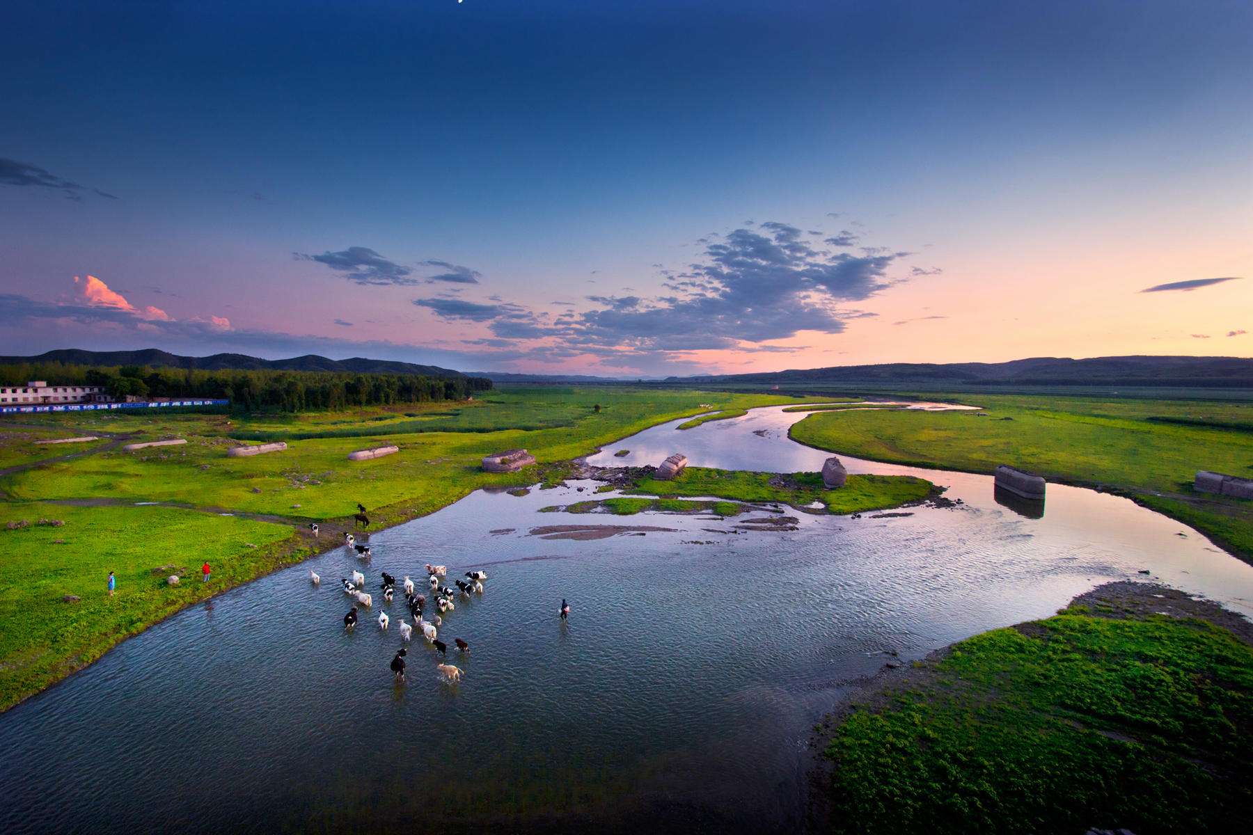 一亿年前的硅化木图片,硅化木是不是树化石