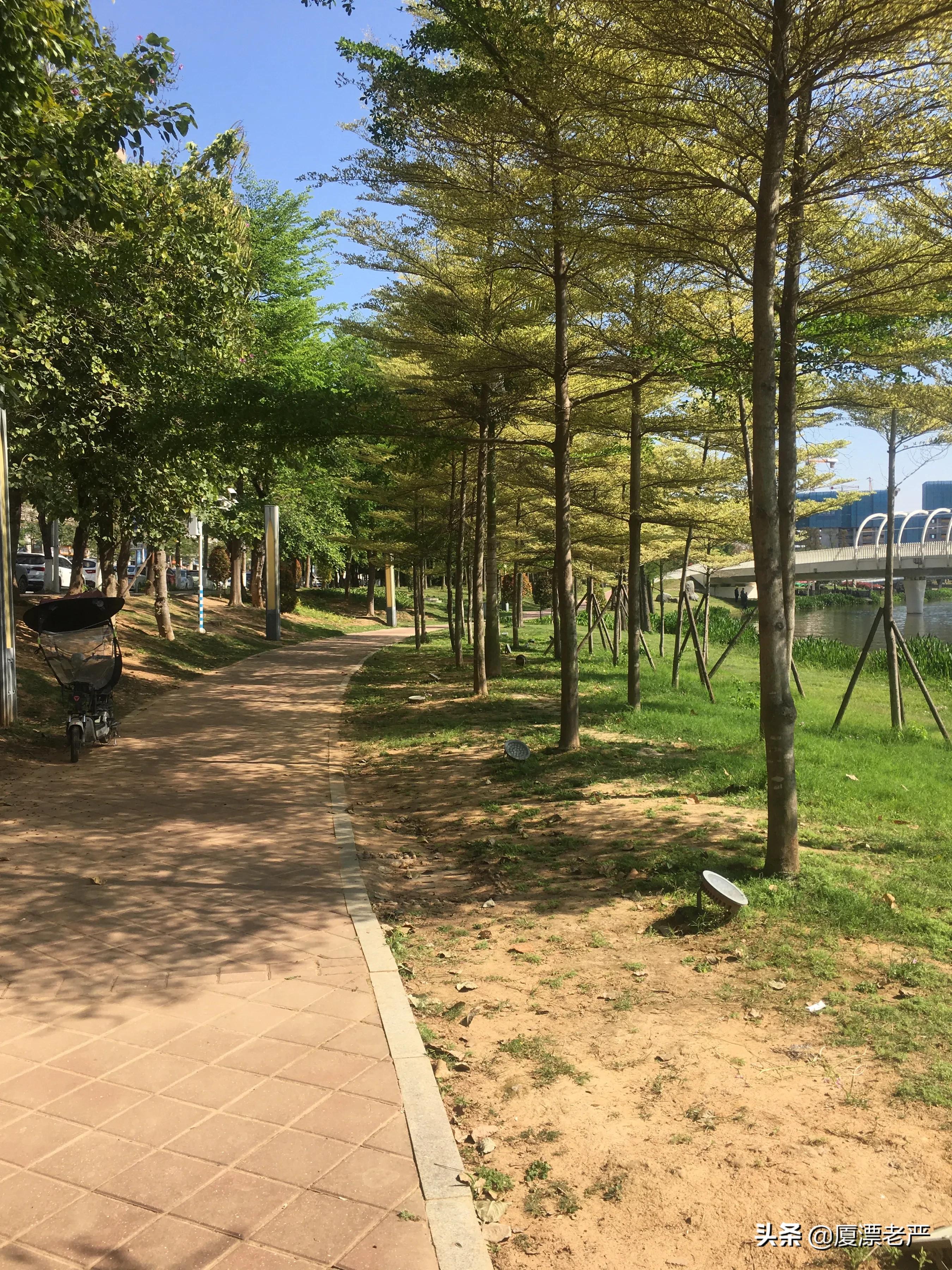 角美新城未来升值空间,角美新城值得买吗