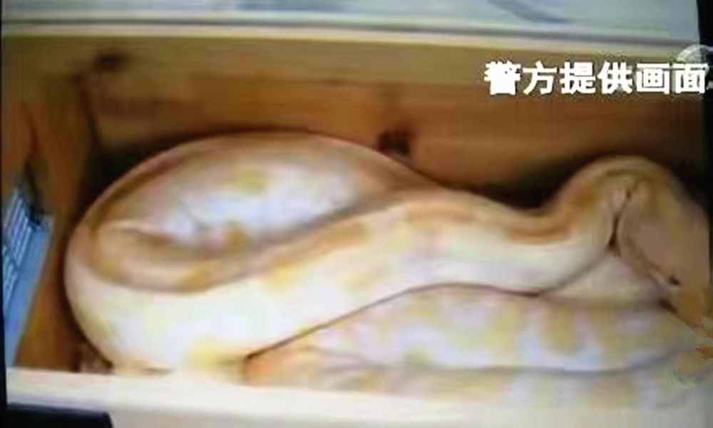 商家发错货要收到货才补发吗,商家发错货会追查到买家吗