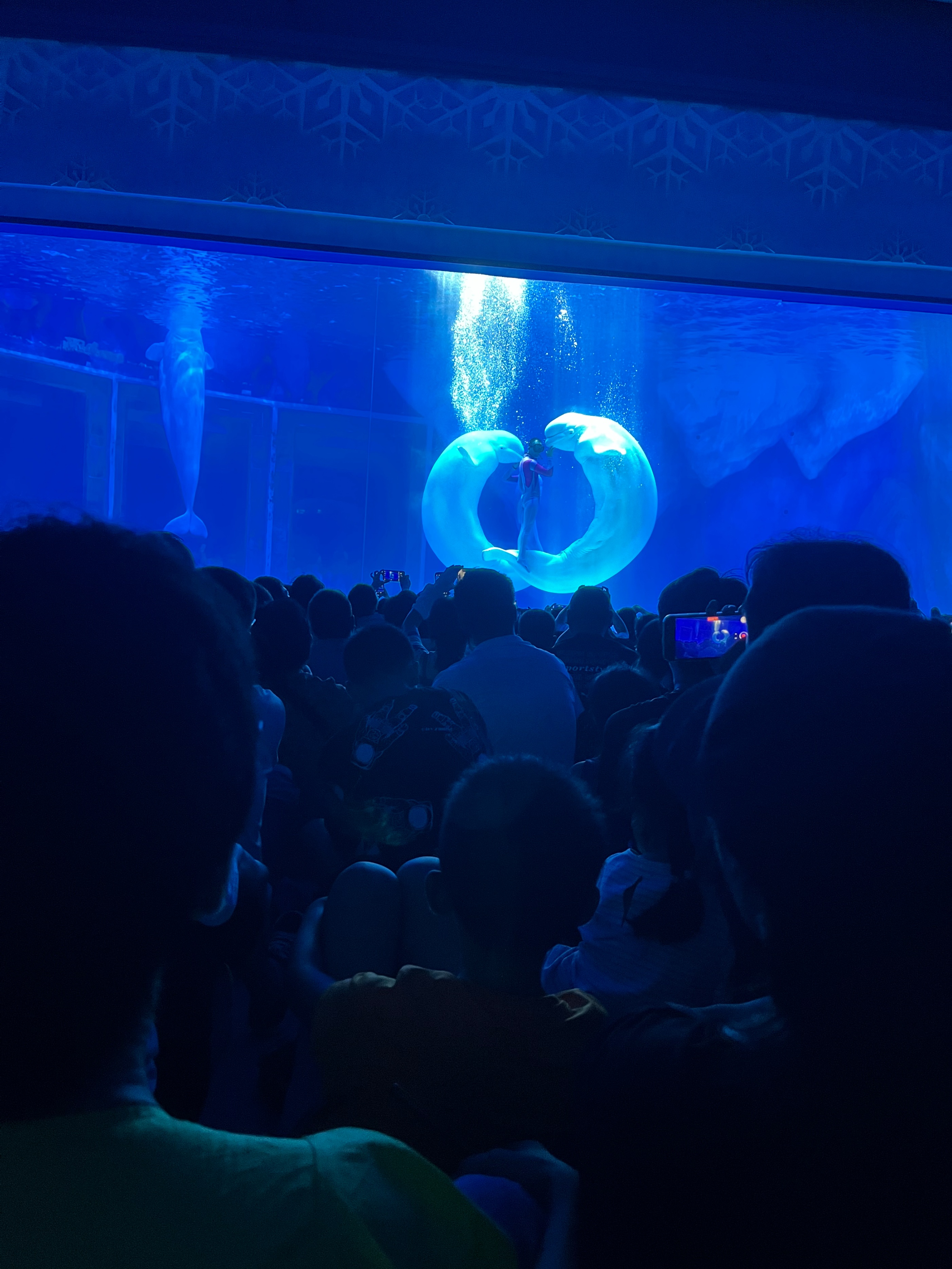 奥特曼主题馆上海海昌游玩攻略,日本奥特曼主题公园旅游