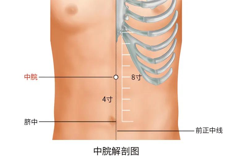 后背长小米粒的原因和解决方法,夏天后背长小米粒是什么原因