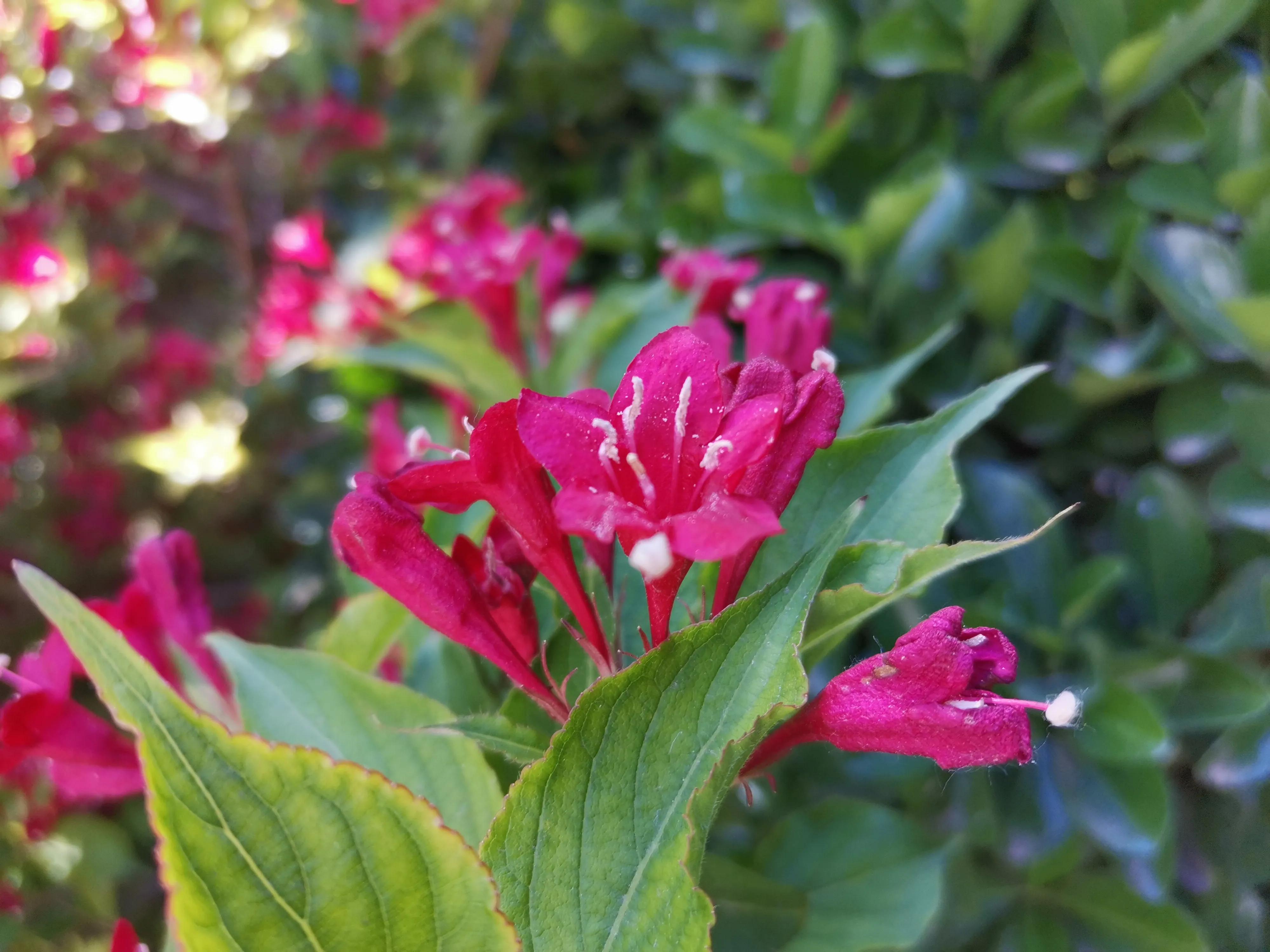 王串场公园有什么,王串场公园地图