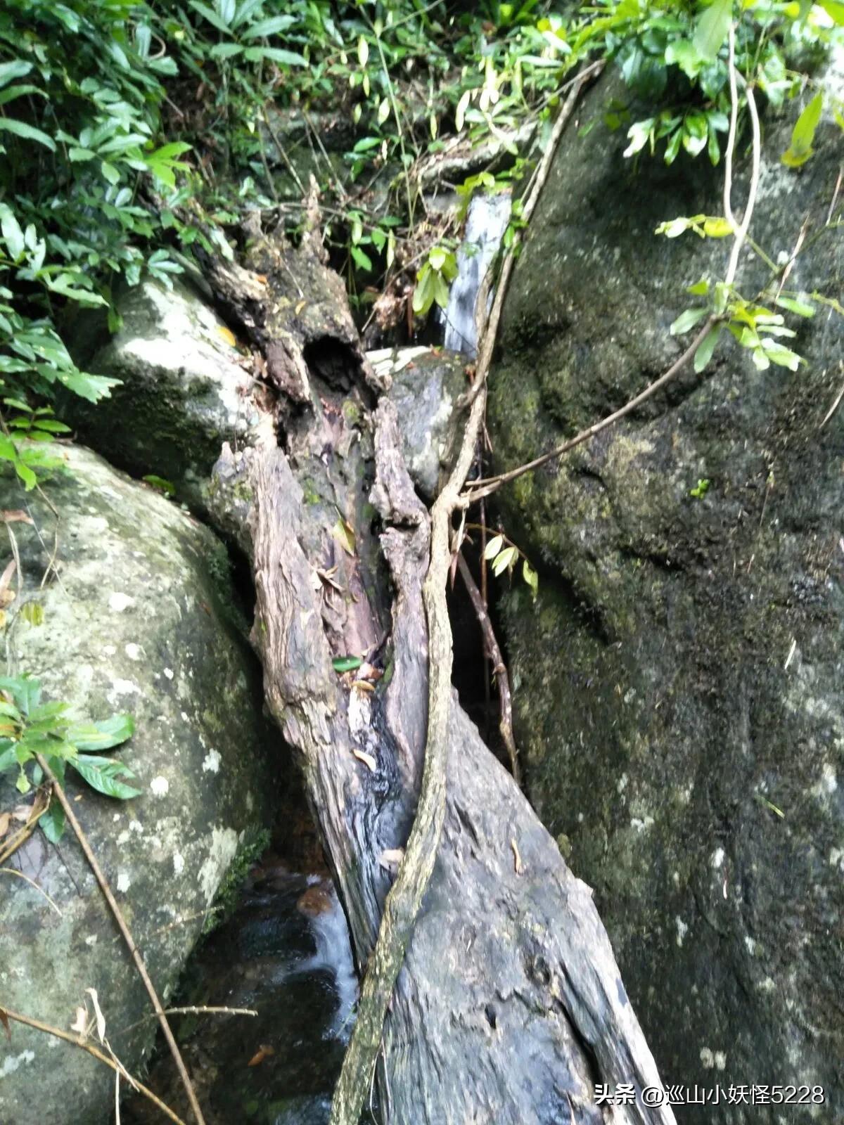 海口金牛岭的传说故事,三亚凤凰岭的传说和故事