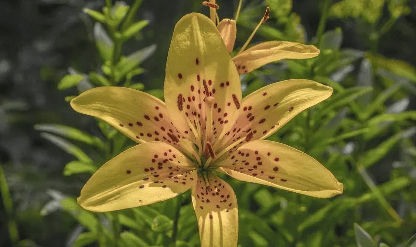 男生有认识很久异性朋友怎么办,蓉蓉情感聊天