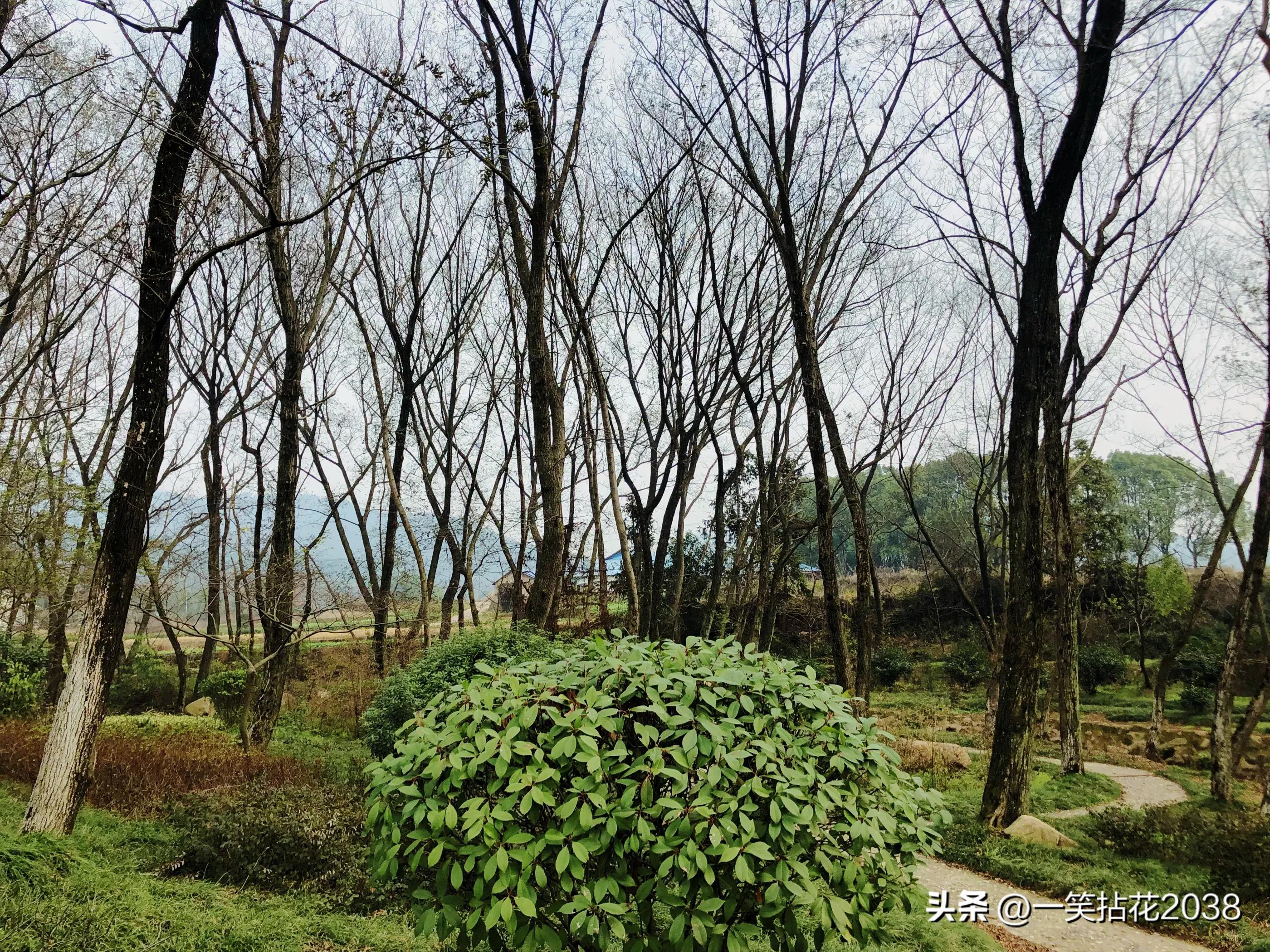 腊八节追思天堂的亲人,腊八节的特殊记忆