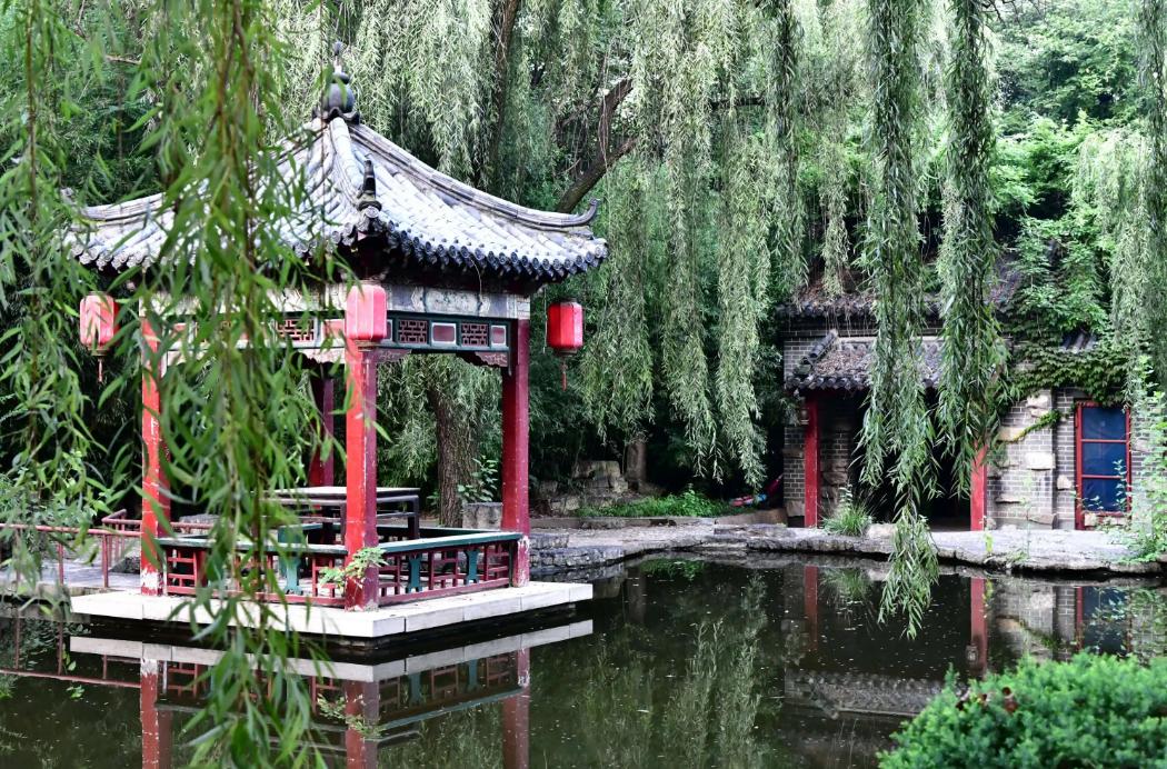 莫言同乡作家阿龙笔下的蒲松龄和聊斋话题（2·柳泉）