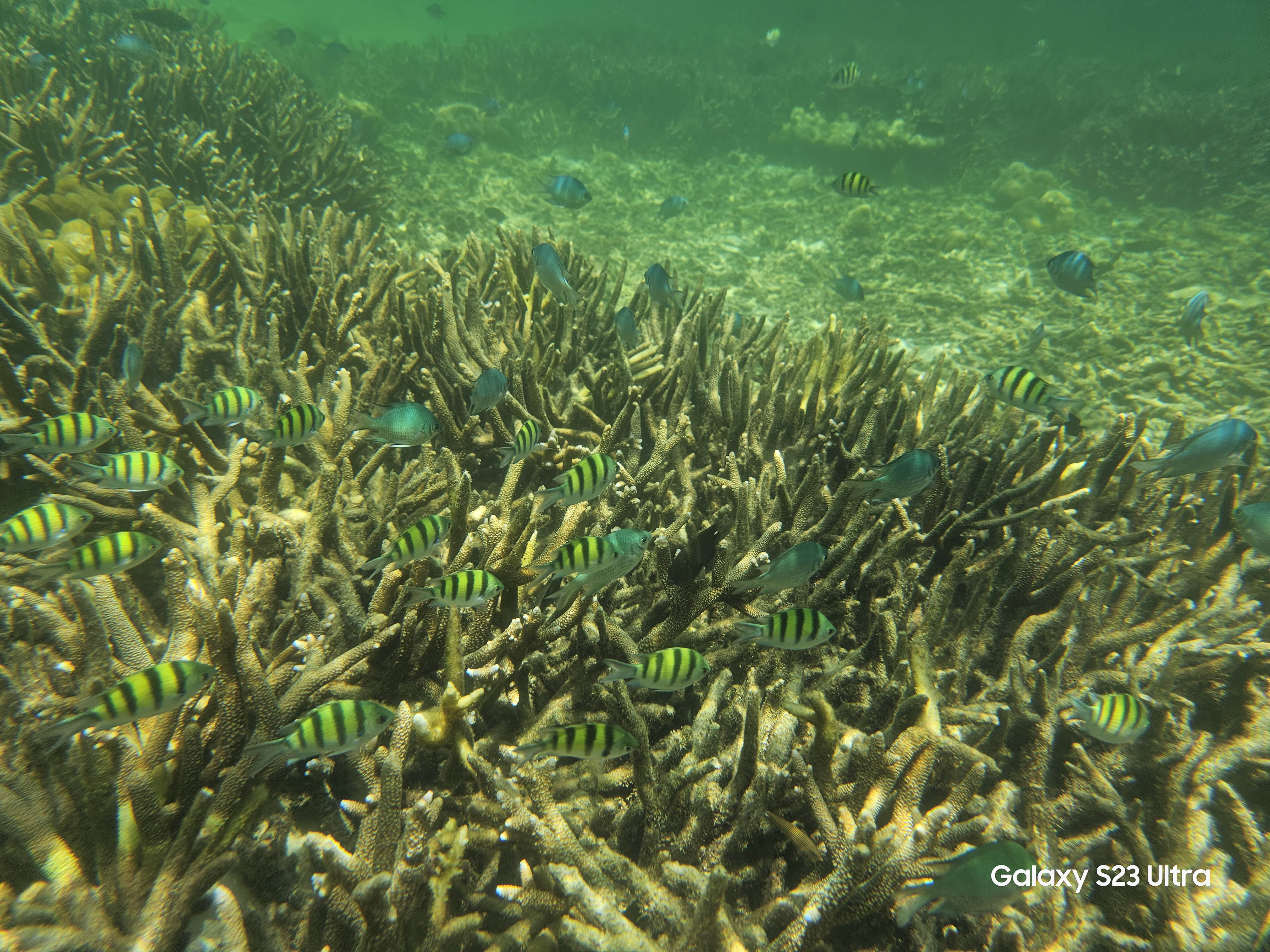 galaxys23ultra火影,galaxys23ultra港行