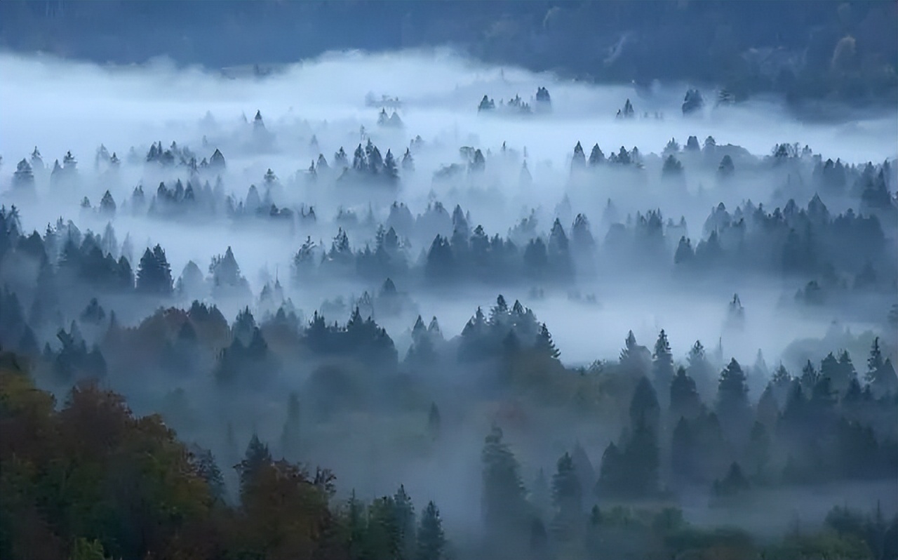 洪雅一个生你养你的地方,洪雅一个养你的地方