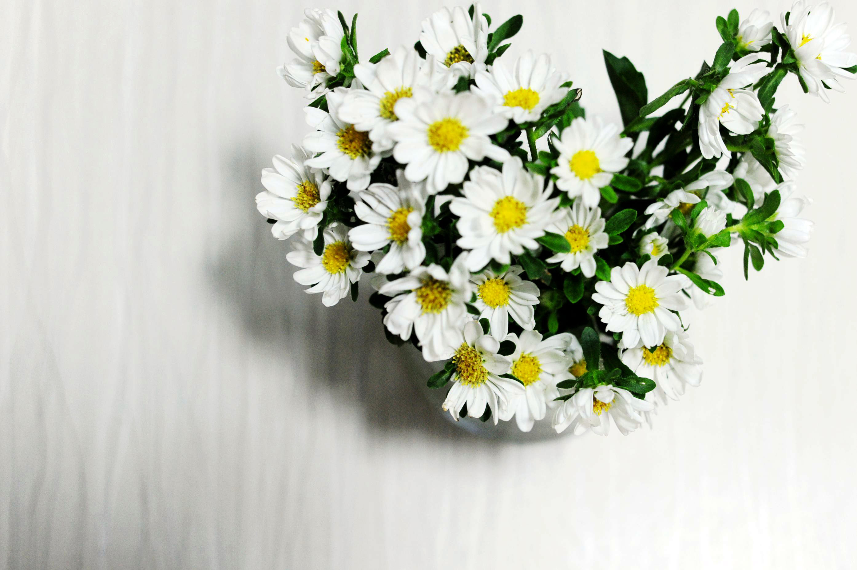 女生如果暗恋你会说什么话,女人暗恋你她会对你说六句话